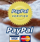 Secure paying with Paypal